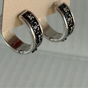 🆕 Golden Sculptural Spiral Hoop Earrings | Luxe Wave Statement Hoops